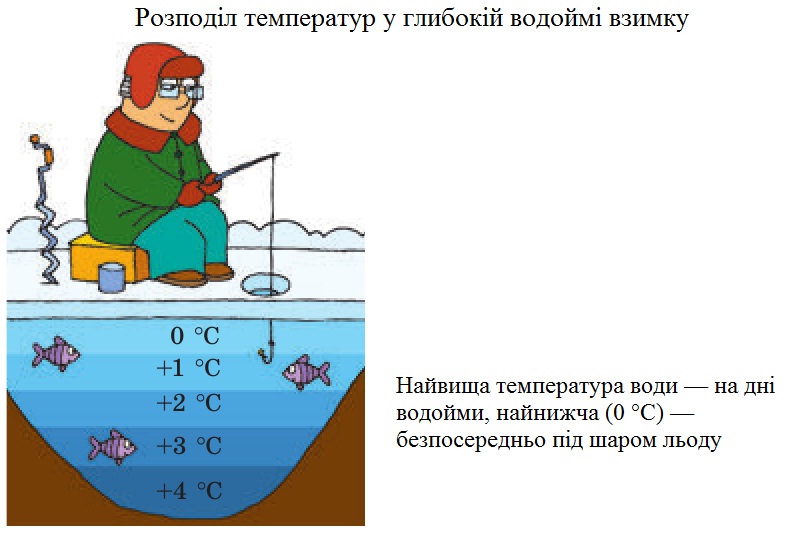 Замерзання водойми