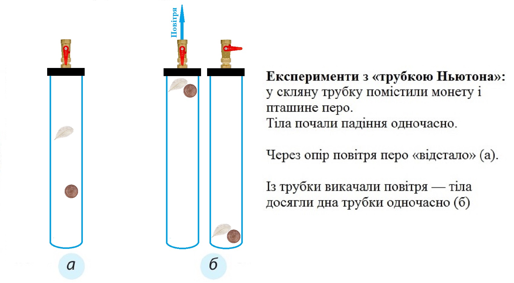 Дослід з трубкою Ньютона