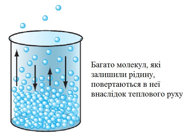 Рух  молекул над поверхнею рідини