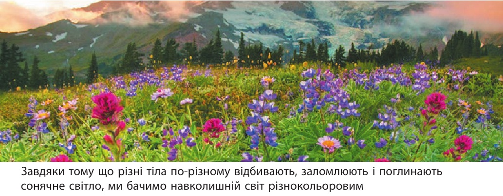 Навколишній світ різнокольоровим